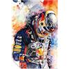Panther Print Max Verstappen Poster con stampa Red Bull - Max Verstappen stampa artistica da parete senza cornice, immagini per pareti di casa, camera da letto, soggiorno e bagno, 76 x 51 cm