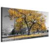murando - Quadri Moderni per Soggiorno, Albero, 200x80 cm | Chiodi Inclusi, 5 Pezzi, Quadro Moderno, Canvas con Struttura, Componibili, Resistenti Allo Sbiadimento, Produzione Europea