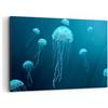 ARTTOR Stampe da Parete Moderne 100x70 cm Quadro su Tela Marino Animali - 5299 | Medusa Oceano Acqua Quadro Decorativo Grande 1 pezzo Soggiorno Camera da Letto Arte da Parete Decorazione da Parete ARTTOR