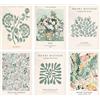 KiKiHong 6 Pz Poster Set Poster Floreali Poster con Immagini di Botanica | Stampe Artistiche da Parete Adatto per Soggiorno Camera da Letto e Sala 20x25 cm Senza Cornice