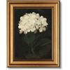 ARPEOTCY Cornice Dorata Vintage per Parete, Decorazione da Parete con Motivi Floreali, Quadri su Tela per Soggiorno e Camera da Letto, Un Fiore Bianco 25L x 20L cm