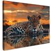 MuchoWow© Stampe Su Tela Quadro Soggiorno Quadri Camera Da Letto Moderni | 70x50 cm - Accessori Salotto Poster Da Parete Con Cornice DecorazioneNatura - Leopardo - Animale - Tramonto - Moderno