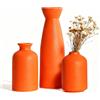 SLAKOZYT Set di 3 piccoli vasi decorativi in ceramica, vasi di fiori bianchi, moderni, rustici, decorazione per la casa, vaso decorativo per erba della pampa, erba e secca