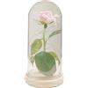 uniqicon Rosa Stabilizzata Eterna in Vetro, Fiori Artificiali Realistici, Regalo per Donna Anniversario, Fidanzata,Festa della Mamma,Bella e la Bestia,Fiore Infinita Immortale,Regali Lei Amica Mamma Idea Donne