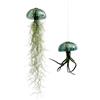 Generic Jellyfish Pianta aerea XL - Riccio di mare in vetro verde smeraldo (ca. 13 cm) con Tillandsia - Fatto a mano e di facile manutenzione - Decorazione da appendere - Idea regalo - Trendyairplants
