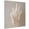 MuchoWow© Creazione Design In Feltro Soggiorno Arredo Muro Salotto Formato | 50x50 cm - Originale Cornice Stanza Notte Erba Pampas - Piume - Pastello - Bianco