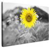 MuchoWow© Stampe su Tela moderne Quadro Moderno Soggiorno Quadretti da | 120x80 cm - Parete Room Decor con Fiori - Girasole - Giallo - Nero - Bianco