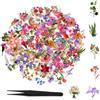 HCVERTE 208 Adesivi Fiori Trasparenti, Sticker Scrapbooking con Pinzetta | 52 Motivi Floreali, Colori Vivaci, Pinzetta Inclusa, per Album Foto, Journaling, Biglietti, Collage & Fai da Te