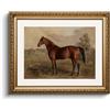 HUARCEY Quadro in tela con cornice dorata, stile vintage, decorazione da parete classica, per soggiorno, camera da letto, bagno, cucina, casa colonica, decorazione estetica, cavallo e animali, 33 x 40