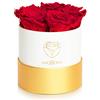 Amoroses Petite - Confezione Regalo 5 Rose Stabilizzate Eterne - Elegante Bouquet di Fiori Veri | Idea Regalo (Petite Scatola Bianca con Rose Rosse)
