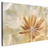MuchoWow© Quadri Camera Da Letto Stampe Da Parete Quadro Su Tela Moderni | 90x60 cm - Decorazioni Murali Soggiorno Foto Quadretti Ingresso Casa Muro Dente di leone - Beige - Astratto - Moderno
