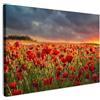 MuchoWow© Stampe su Tela Foto Quadri Moderni Camera da Letto Canvas Quadro | 120x80 cm - Salotto Decorazione Parete Tramonto - Papaveri - Rosso - Fiori - Campo - Natura