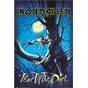 Grupo Erik Iron Maiden Poster Fear of the Dark 61 x 91,5 cm | Poster da Parete, Carta Lucida, Incorniciabile, Colori Brillanti, Decorazione Cameretta