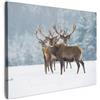 MuchoWow© Quadri su Tela Foto Quadro Moderno Soggiorno Canvas Decorazioni | 40x30 cm - Camera da Letto Cervo - Animali - Neve - Inverno - Paesaggio - Natura