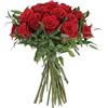 KENTIS - Bouquet 24 di Rose Rosse a Stelo Lungo 50 cm - Mazzo di Fiori Freschi a Domicilio in Italia - Rose Vere Regalo