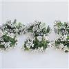 C.X.Y. 144 bacche (Set 12 Fiori da 12 pistilli bacche) bomboniera confezione scatola fiore fai da te (ARGENTO)