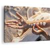ARTTOR Moderno Quadro su Tela 70x50 cm Stampe da Parete Persone Natura - 5102 | Conchiglia Mano Spiaggia Quadro Decorativo 1 pezzo Soggiorno Camera da Letto Arte da Parete Decorazione da Parete ARTTOR