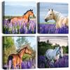 Artscope Stampe e Quadri su Tela 4 pz. Lavanda e Cavallo Immagine Fotografia Murale Tela Wall Art Bel Regalo per Home Decor Ristorante Cucina Regalo di Anniversario Compleanno 30x30CM