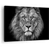 ARTTOR Quadro su Tela 70x50 cm Stampe da Parete Africa Bianco e Nero - 4494 | Ritratto Leone E Quadro Decorativo Piccolo 1 pezzo Soggiorno Camera da Letto Arte da Parete Decorazione da Parete ARTTOR