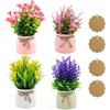MERVYNGLYNNHUNTER 4 Pezzi piante artificiali fiori in vaso, fiori vaso decorativi artificiali, mini piante finte in plastica, 4 colori, con 4 etichette in carta kraft, per soggiorno, cucina, scuola, ufficio