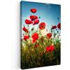 MuchoWow© Stampa di Foto su Tela Quadro Soggiorno Moderno Quadri per | 20x30 cm - Salotto Decorazioni Camera Papaveri - Toscana - Sole - Rosso - Blu