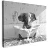 MuchoWow© Quadro Camera Da Letto Quadri Soggiorno Decorazione Parete Quadri | 70x50 cm - Moderni Su Tela Stampe Foto Con Cornice Quadretti Poster Bagno - Elefante - Vasca da bagno