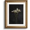 Huarcey Quadro in tela dorato, stile vintage, decorazione classica per soggiorno, camera da letto, bagno, cucina, casa colonica, 33x40 cm