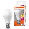 OSRAM Lampada LED SUPERSTAR+ CLASSIC A 75 FR, attacco E27, goccia, 10W, 1055lm, 2700K, luce bianca calda, basso consumo energetico, lunga durata, sensore di movimento, spegnimento automatico