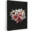 MuchoWow© Stampa su Tela Quadri da Salotto Moderni Soggiorno Canvas per | 50x70 cm - bagno Foto Decorazioni Parete con Fiori - Rosa - Nero - Flora - Botanica