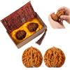 CPRNQY Wenwan - Set di 2 noci per meditazione, set decorativo cinese, 41 x 43 mm, dimensioni standard, con custodia, ideale per collezionisti e amanti del design tradizionale di interni