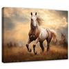 WallArena Stampe su tela 60x40 cm | Cavallo, stampa su tela, quadro su tela, dimensioni: 60x40 cm (LxA) - pezzo unico su tela. La tela