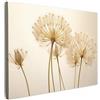 MuchoWow© Quadro Moderno Soggiorno Decorazioni Da Parete Quadri Su Tela Da | 70x50 cm - Salotto Grandi Foto Con Cornice Stampe Su Tela Camera Da LettoSole - Dente di leone - Fiore - Bianco