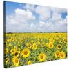 MuchoWow© Stampe su Tela moderne Quadro Moderno Soggiorno Quadretti da | 70x50 cm - Parete Room Decor Girasoli - Fiori - Nuvole - Natura - Giallo - Paesaggio - Campagna