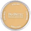 PanPastel Pastello Pan Oro Rich 29115 (japan import)