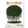 SALVADERO Poster - Albero Giapponese, Arte Minimalista (Willow Tree, 50L x 40l cm)