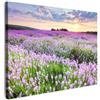 MuchoWow© Quadro su Tela Stampe da Parete Quadri Cucina Camera da Letto | 40x30 cm - Dipinto Arredamento Casa Fiori - Lavanda - Viola - Cielo - Tramonto - Prato - Natura