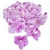Corkwaw 50 petali di orchidea artificiali, decorazioni floreali in finta seta, Phalaenopsis, teste di fiori di farfalla, per fai da te, casa, matrimoni, feste, decorazioni (viola chiaro)
