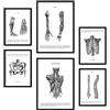 Nacnic - Set di 6 poster di anatomia umana (schiena, gamba, braccio, colonna vertebrale, bacino, costole). Poster ideali per cliniche. Formati A3 e A4, senza cornice.