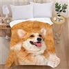 Treer-shop Coperta Plaid in Flanella, Treers 3D Cucciolo Stampa Coperta Pile, Microfibra Coperta Divano Morbida Trapunta per Bambini/Adulti/Singolo Matrimoniale Letto (Corgi,150X200cm)