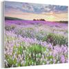 MuchoWow© Creazione Parete Feltro Moderno Soggiorno Stanza Letto Quadro | 70x50 cm - Cornice Salotto Fiori - Lavanda - Viola - Cielo - Tramonto - Prato - Natura