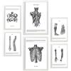 Nacnic - Set di 6 poster di anatomia (muscoli, gamba, braccio, colonna vertebrale, bacino). Ideali per studi medici o sale studio. Formati A3 e A4 con cornice bianca.