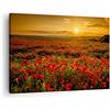 ARTTOR Moderno Quadro su Tela 70x50 cm Stampe da Parete Botanica Paesaggi - 3643 | Papavero Fiore Prato Quadro Decorativo Piccolo 1 pezzo Soggiorno Camera da Letto Arte da Parete Decorazione da Parete ARTTOR