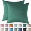 Ystyle Federe Cuscini Divano 50x50 2 Pezzi, Copricuscini Divano in Vellut per Camera da Letto Natalizie, Decorativi Federa per Salotto Soggiorno Elegante Moderni Fodere Arredo, Verde Scuro