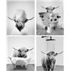 QPLGTU Poster per la Decorazione della Parete di Casa del Bagno, Foto di Decorazione Animali del Bestiame delle Highlands in Nero e Bianco, Poster con Stampa Divertente di Animali, Senza Cornice