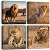 Artscope Stampe e Quadri su Tela 4 pz. Famiglia dei Leoni Immagine Fotografia Murale Tela Wall Art Bel Regalo per Home Decor Ristorante Cucina Regalo di Anniversario Compleanno 30x30CM