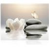 Dazzlewall Stampe di fiori di loto bianco su tela zen, farfalla di pietra pacifica respira immagine per bagno Yoga spa spirituale camera da letto arredamento soggiorno 30×40 cm senza cornice