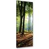 Feeby Quadro Tela Non Tessuta Il Sole Nella Foresta 40x100 cm Foto d'Arte Decorazione Murale Corridoio Alberi Della Natura verde