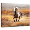WallArena Stampe su tela 60x40 cm | Cavallo, stampa su tela, quadro su tela, dimensioni: 60x40 cm (LxA) - pezzo unico su tela. La tela