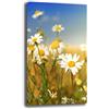 Printerland Quadri Moderni Soggiorno Verticale FIORI MARGHERITE Quadro moderno FIORE da Parete XXL grande Stampa su tela Canvas Decorazione Murale muro Arredo Camera letto Cucina (50x100 cm, Margherite)