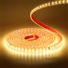 Wisada Striscia LED 220V SMD 2835, 120 LEDs/m, IP65 Impermeabile, Striscia LED Flessibile per Lucernario Soggiorno Decorazione Cucina (Bianco Caldo (3000-3500K), 5M)